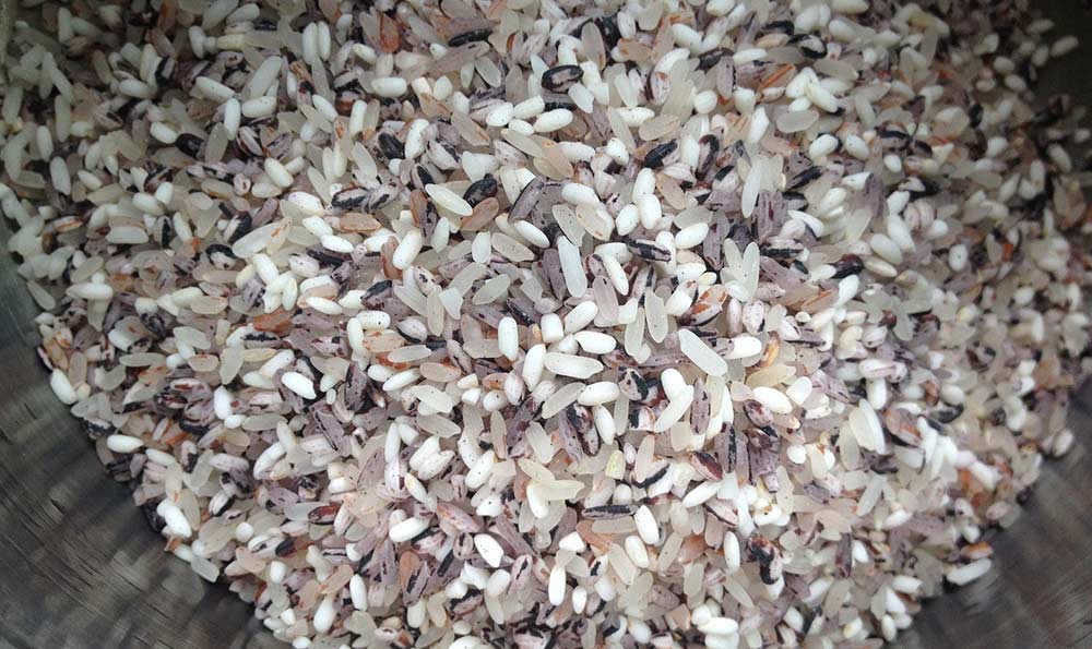 纯稻花香大米多少钱一斤10公斤