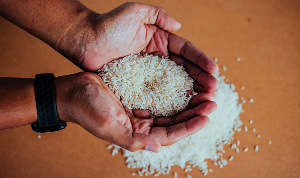 小米高粱米大米