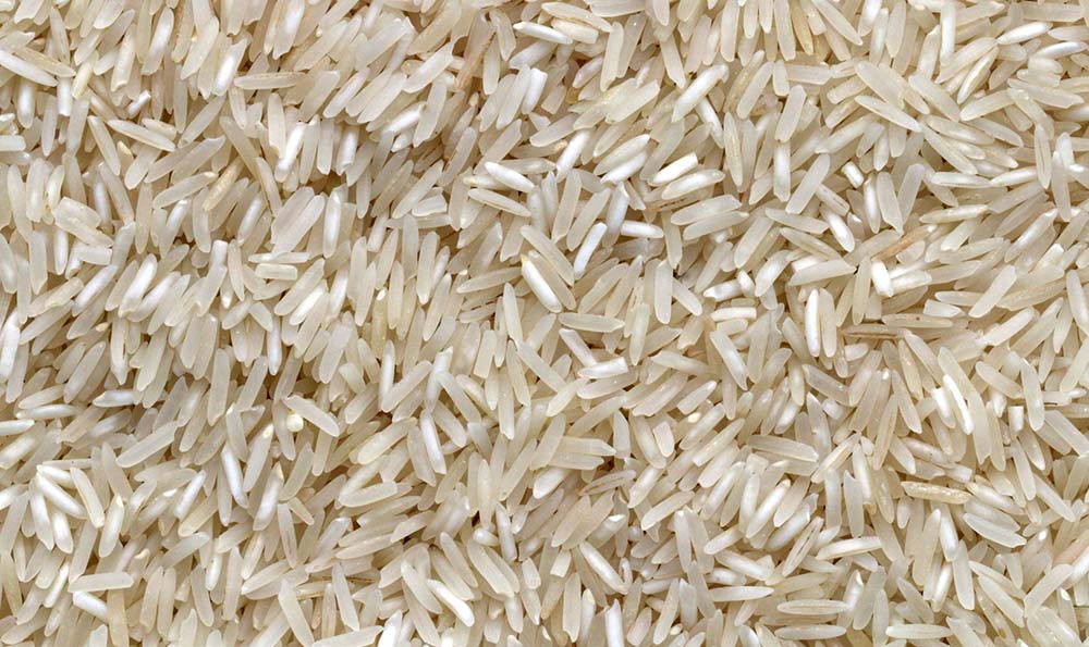 稻谷种植过程